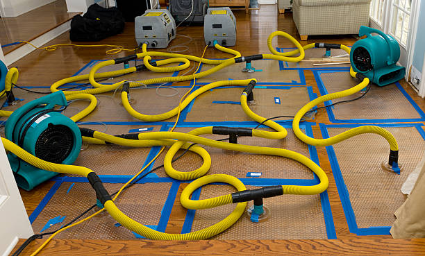 Professional Crawl Space Water Removal technician working in Oak Grove, MS